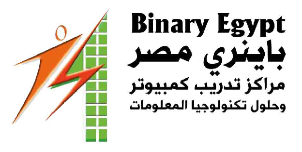 Binary Egypt باينري مصر 