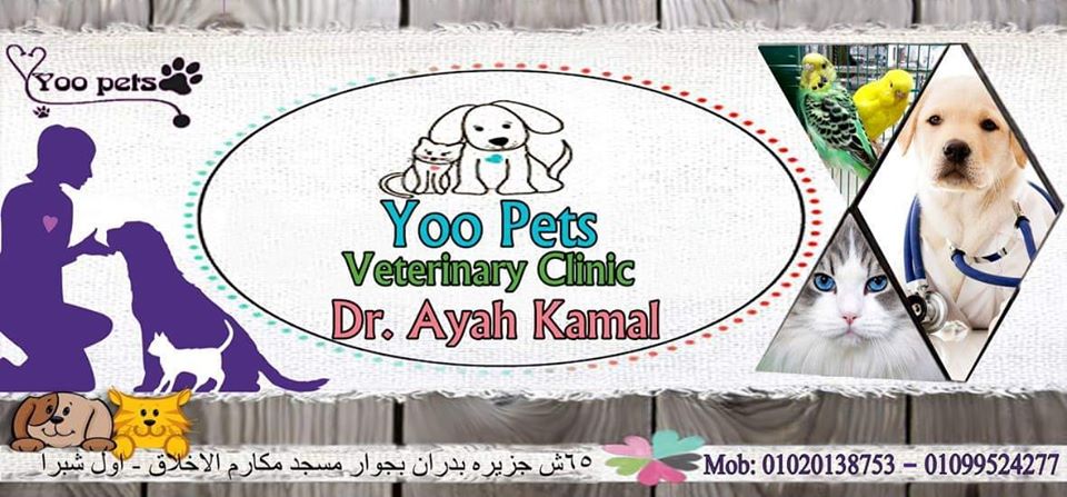 عيادة يوو للحيوانات الأليفة، دكتورة آية كمال