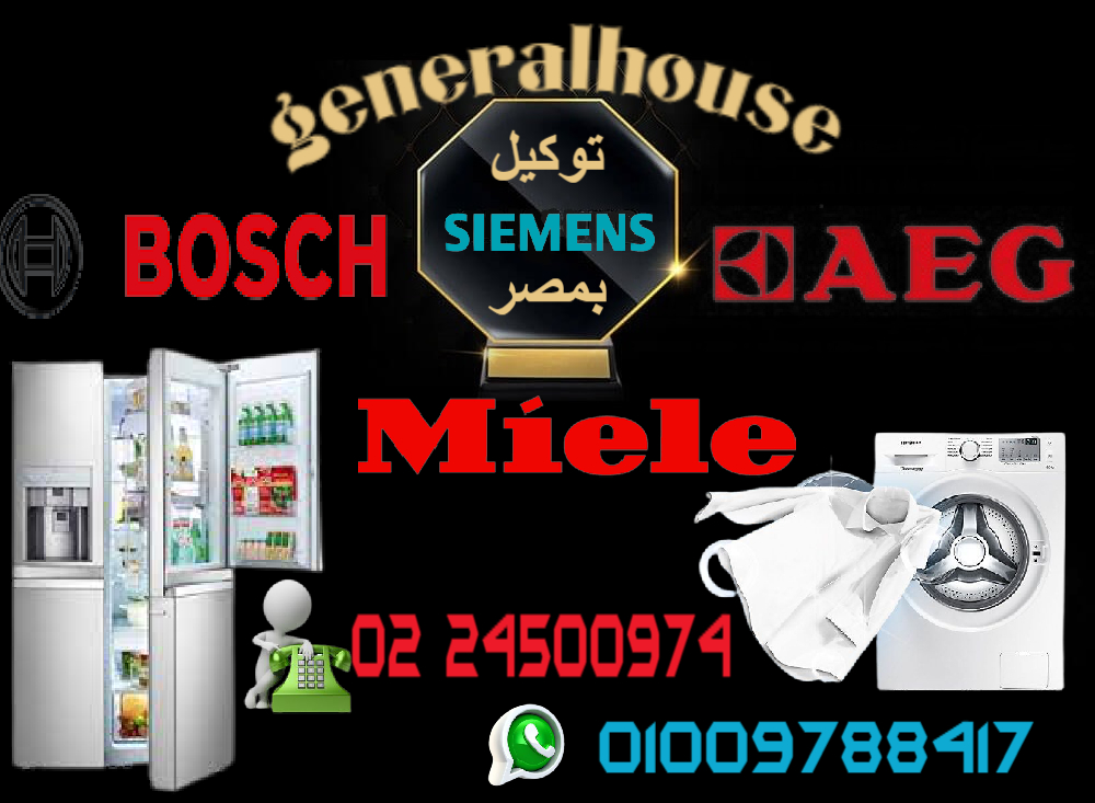 Bosch and Siemens maintenance service