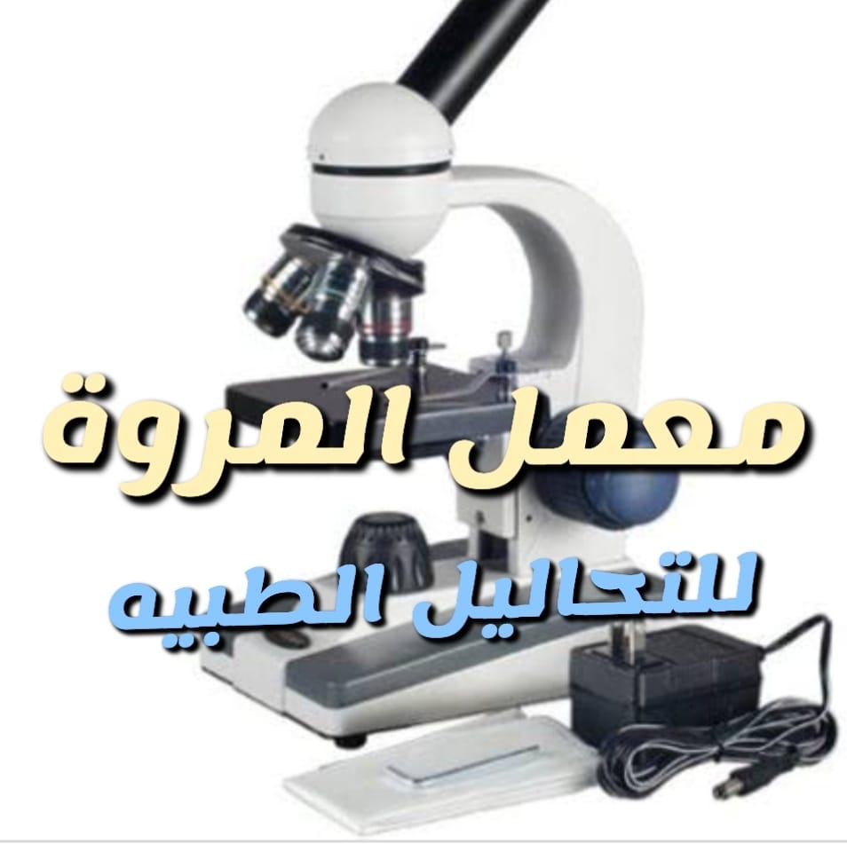 El Marwa Lab