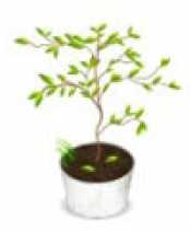 تنسيق حدائق ومعدات