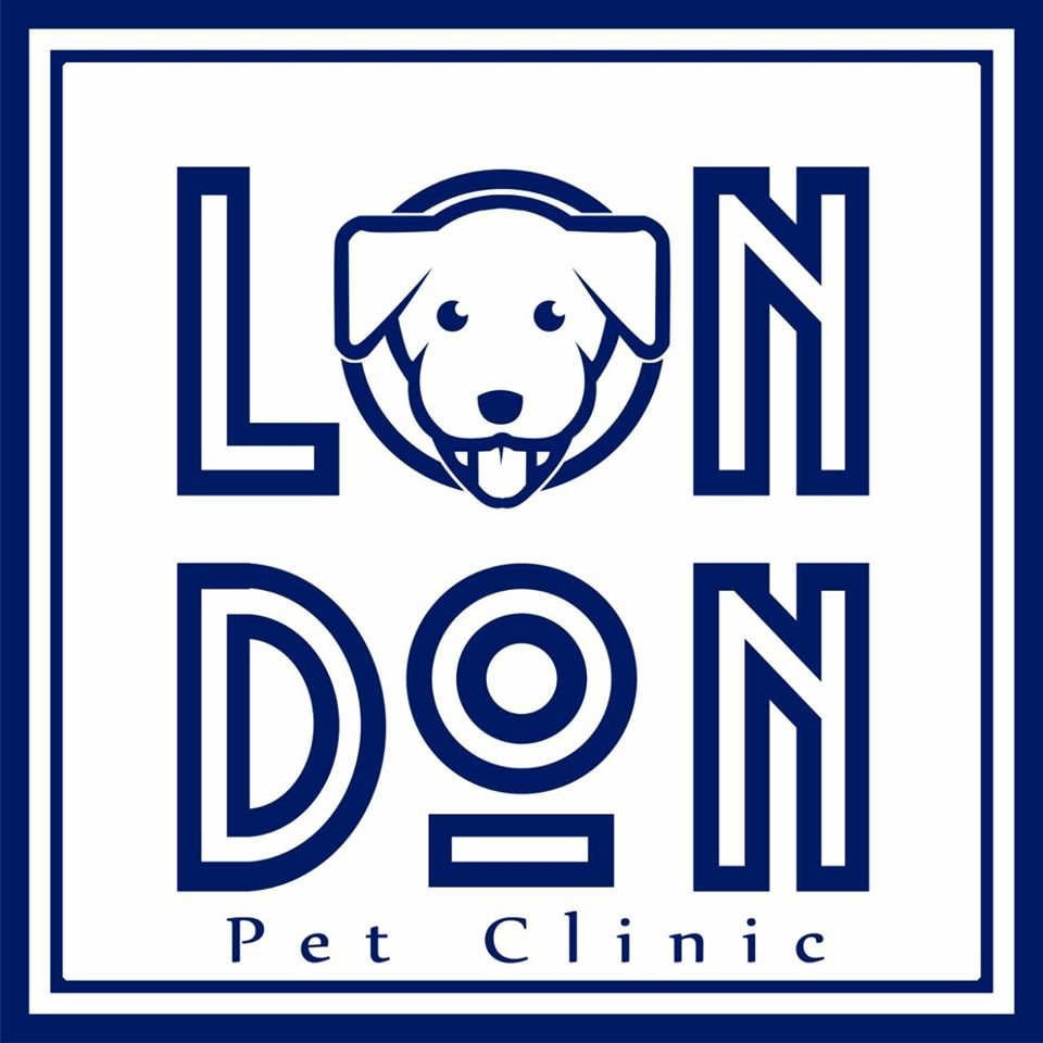 london vet clinic