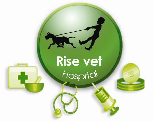 rise vet clinic