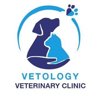 VETOLOGY VETERINARY CLINIC