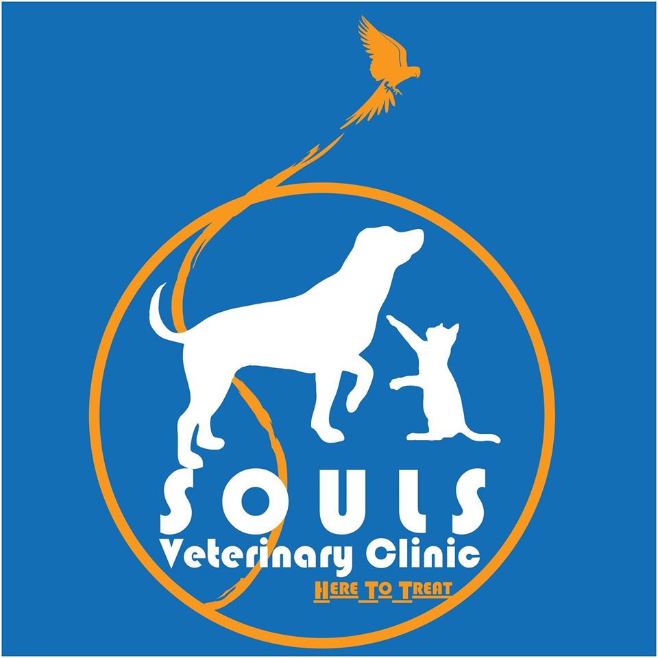 SOULS VETERINARY CLINIC