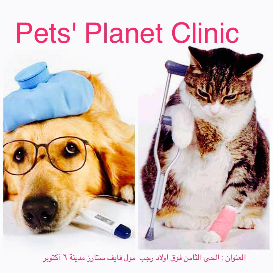 Pets Planet Veterinary Clinic, 8th District, 6th of October