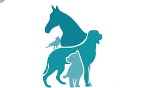 International Veterinary Services