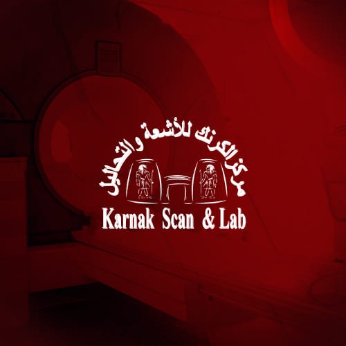Karnak Scan & Lab